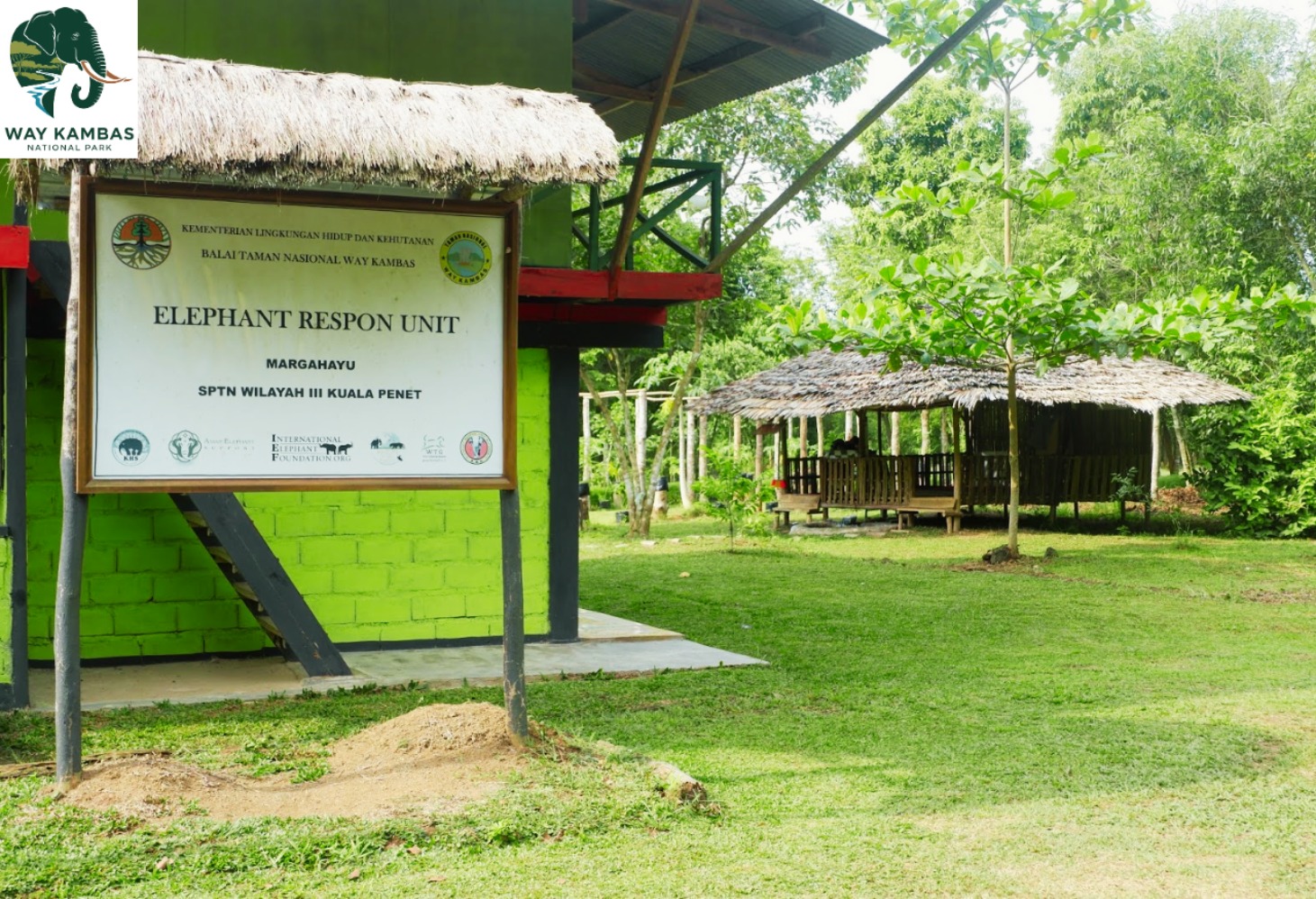 Taman Nasional Way Kambas. Sumber gambar: Website Taman Nasional Way Kambas) Taman Nasional Way Kambas. Sumber gambar: Website Taman Nasional Way Kambas)