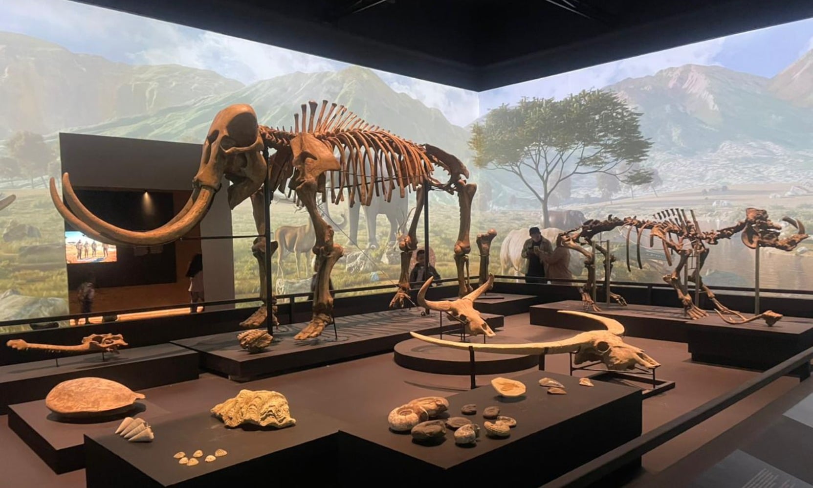Senarai replika fosil hewan purba dalam pameran Sejarah Awal, di Museum Nasional Indonesia, Jakarta, Kamis (18/12/2025).