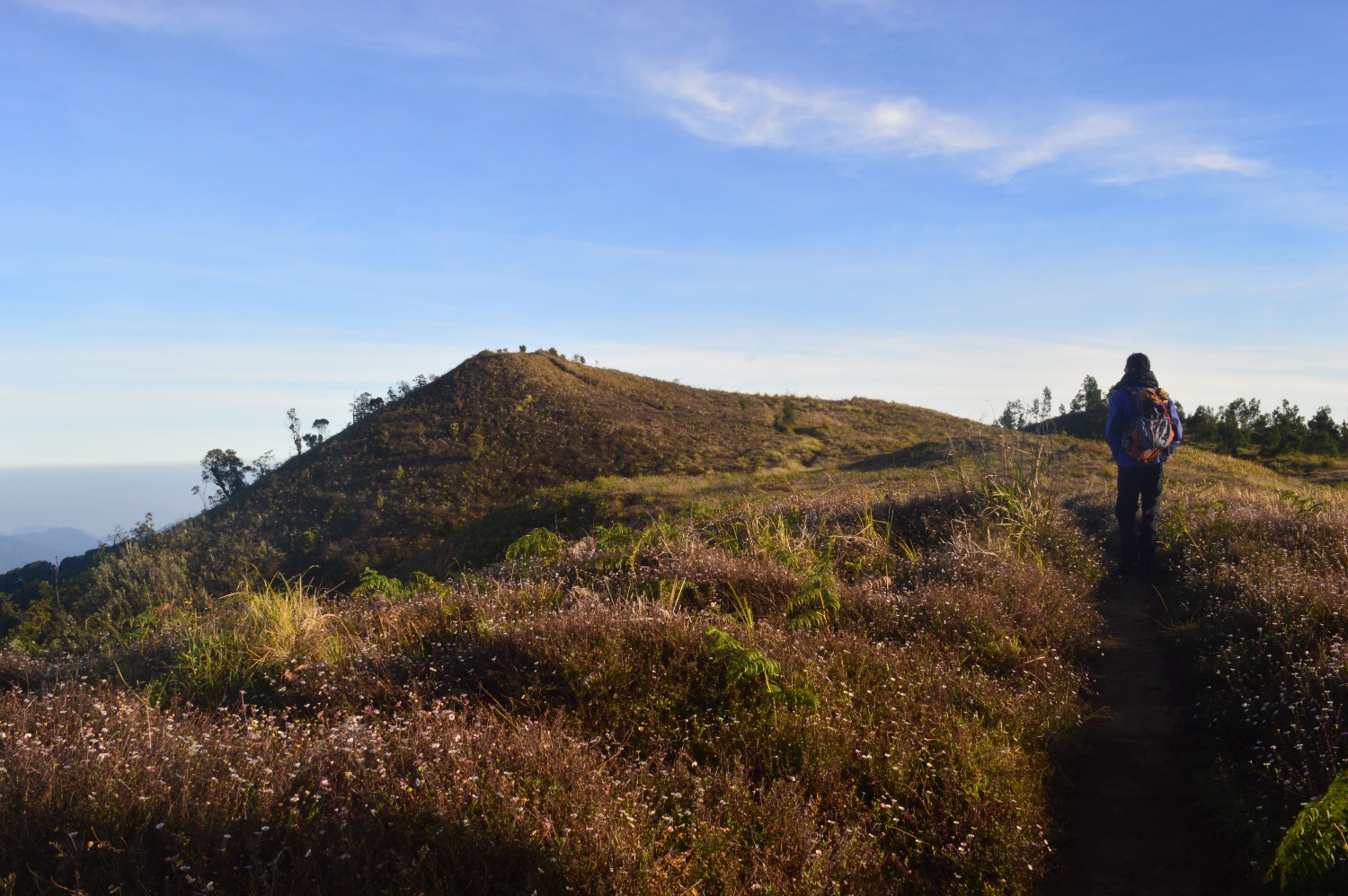 ​ Col 2 content area ​ ​ Col 2 content area ​