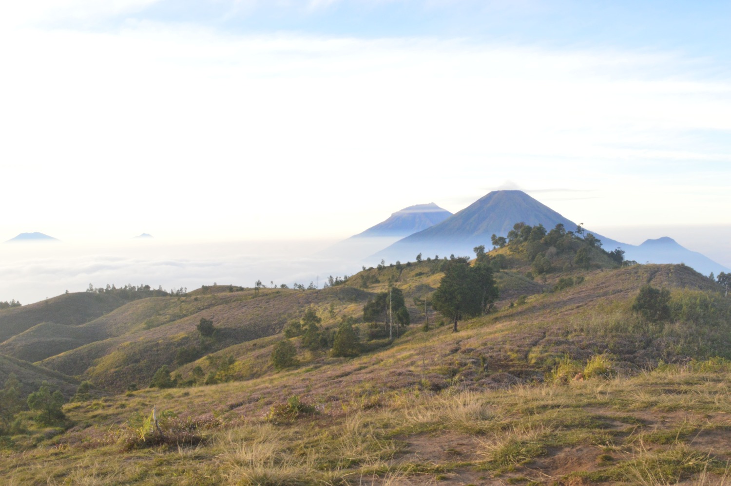 Menikmati Keindahan Gunung Prau via Kalilembu yang Masih Lengang (Sumber gambar: Chelsea Venda/Hypeabis.id) Menikmati Keindahan Gunung Prau via Kalilembu yang Masih Lengang (Sumber gambar: Chelsea Venda/Hypeabis.id)