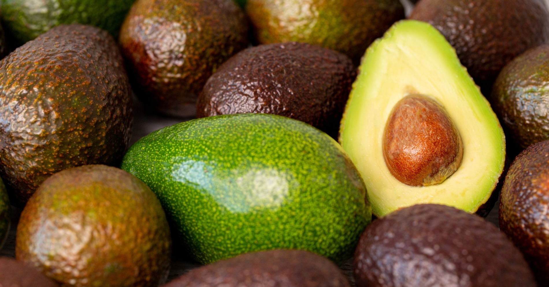 Resep Avocado Milk Cheese, Takjil Manis dan Segar untuk Buka Puasa