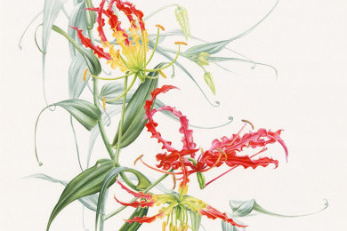 Penasaran dengan Seni Botani? Yuk Intip Pameran Botanical Art: Evoking the Beauty of Science di Galeri Nasional
