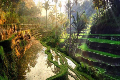 5 Destinasi di Indonesia yang Cocok Untuk Slow Travel: Dari Ubud sampai Labuan Bajo
