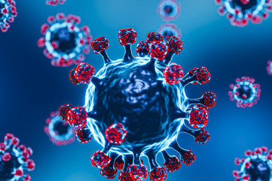 Mengenal Virus Nipah: Penularan, Gejala, hingga Pencegahan