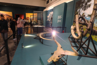 Tarif Museum Nasional Naik, Pengelola Janji Layanan Setara Museum Dunia