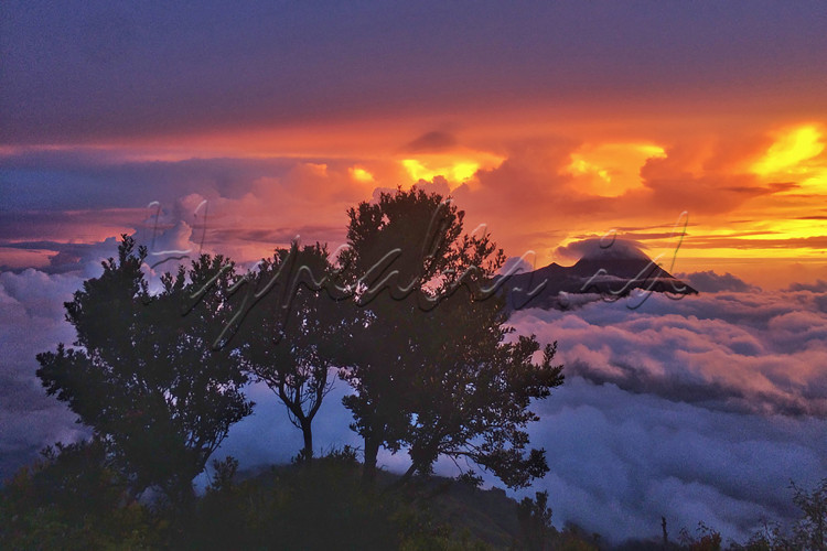 LOMBA FOTO EKSPRESI KEMERDEKAAN