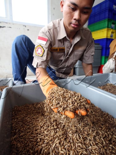 LOMBA FOTO EKSPRESI KEMERDEKAAN