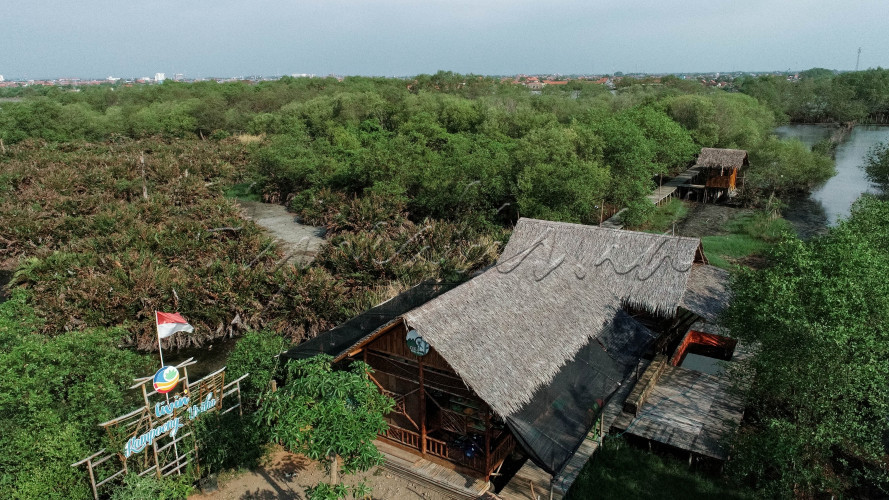 Foto udara kawasan Ekowisata Mangrove Mulyo Asri di Desa Mulyorejo, Kecamatan Tirto, Kabupaten Pekalongan, Jawa tengah, Rabu (5/7/2023).