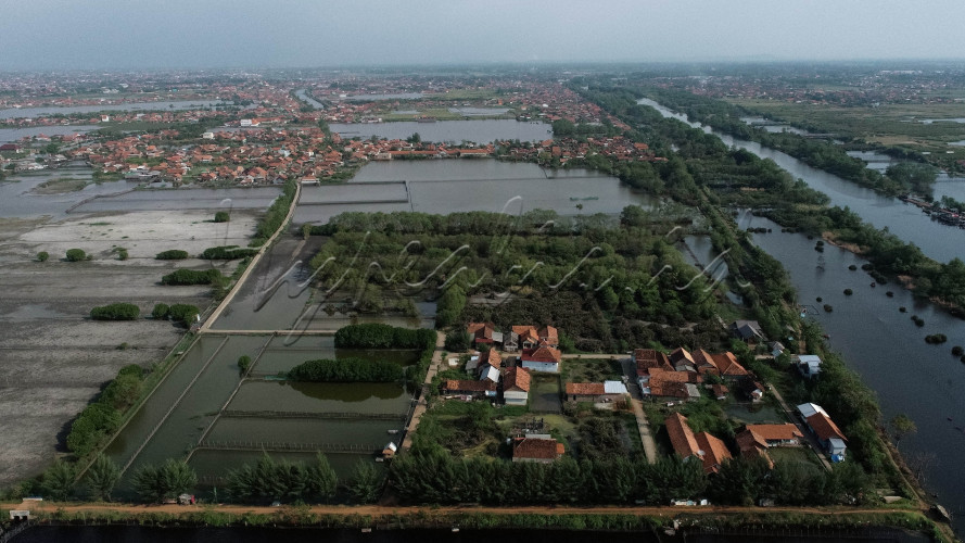 Foto udara kawasan Ekowisata Mangrove Mulyo Asri di Desa Mulyorejo, Kecamatan Tirto, Kabupaten Pekalongan, Jawa tengah, Rabu (5/7/2023).