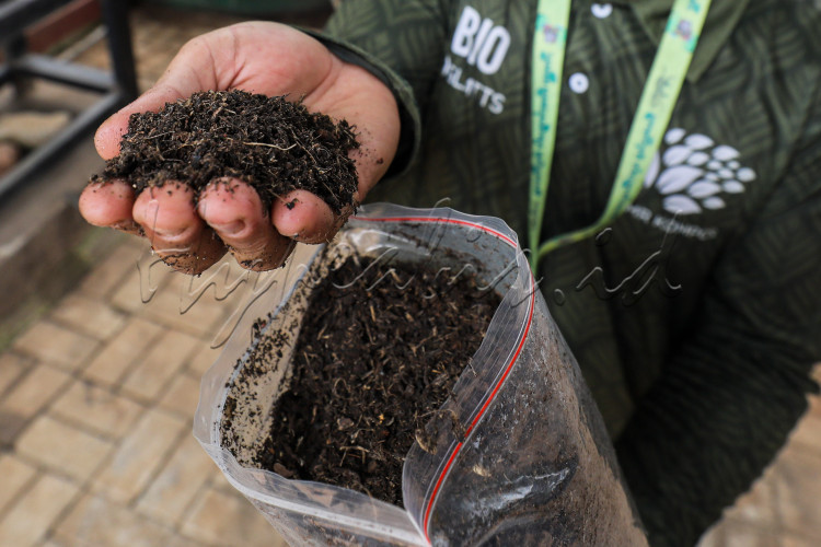 Petugas memperlihatkan pupuk kompos yang dihasilkan dari ampas sampah organik di Taman Margasatwa Ragunan (TMR), Jakarta, Selasa (19/9/2023).