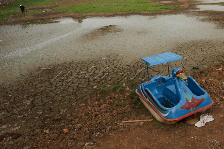 JIBI/Bisnis/Himawan L NugrahaDANAU CINERE MENGERINGSuasana Danau Cinere yang mengering di Depok, Jawa Barat, Rabu (4/101/2023). Danau yang biasanya memiliki kedalam 2 meter ini mengering karena kemarau panjang akibat efek El Nino. Sebelumnya, Badan Meteorologi Klimatologi dan Geofisika (BMKG) memprediksi dampak titik puncak El Nino terjadi pada Agustus-September 2023.
