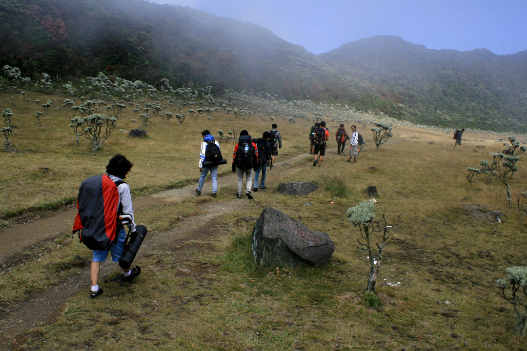 Pendaki berjalan di alun-alun Surya Kencana, Gunung Gede, Jawa Barat. Letaknya yang dekat dengan Jakarta membuat gunung ini banyak di datangi pegiat alam bebas asal Ibu Kota terlebih saat akhir pekan. Gunung yang memiliki ketinggian mencapai 2.958 mdpl ini memiliki 3 jalur yaitu jalur Cibodas, jalur Gunung Putri di Cipanas, dan jalur Selabintana di Sukabumi.