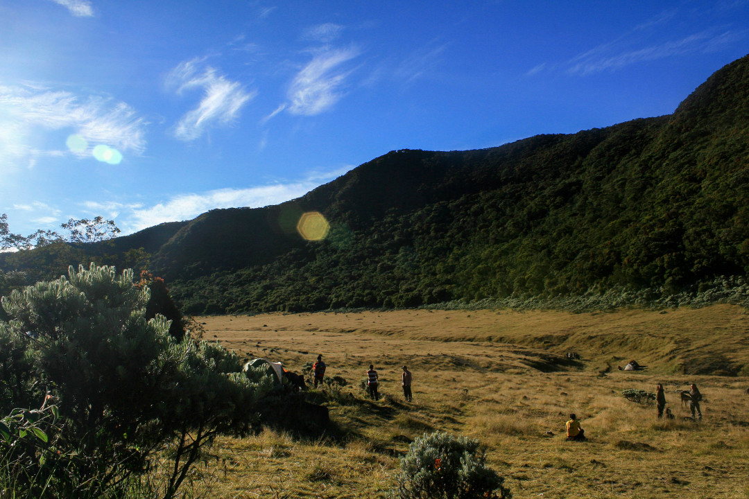 Pendaki berjalan di alun-alun Surya Kencana, Gunung Gede, Jawa Barat. Letaknya yang dekat dengan Jakarta membuat gunung ini banyak di datangi pegiat alam bebas asal Ibu Kota terlebih saat akhir pekan. Gunung yang memiliki ketinggian mencapai 2.958 mdpl ini memiliki 3 jalur yaitu jalur Cibodas, jalur Gunung Putri di Cipanas, dan jalur Selabintana di Sukabumi.