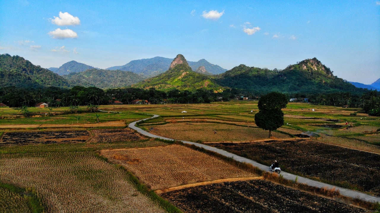 Pemandangan persawahan usai panen raya di kampung bantar kuning, Cariu, Kabupaten Bogor