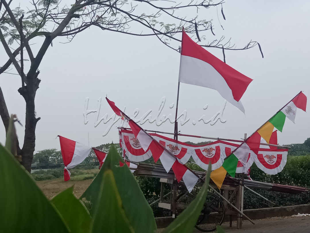 &nbsp;Mendekati tanggal 17 agustus hari kemerdekaan republik indonesia. biasanya penjual bendera merah putih banyak di cari oleh masyarakat indonesia<br />
<br />
Di berbagai tempat pemakaian bendera merah putih menjadi pelengkap yang wajib untuk menambah semarak hari kemerdekaan indonesia