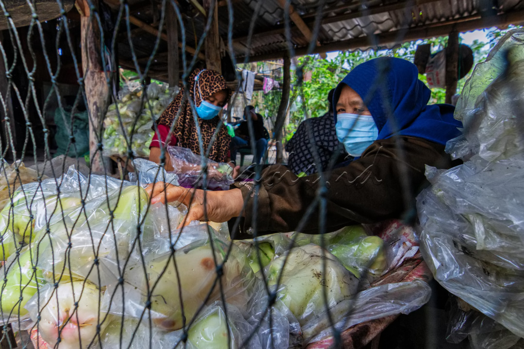 Merdeka dari Tekanan Ekonomi.<br />
Pertanian adalah merupakan sumber ekonomi yang bisa membuat tekanan ekonomi berkurang. Karena pertanian adalah sumber bahan pokok utama bagi manusia.&nbsp;<br />
<br />
Di Masa pandemi, pertanian salah satu aspek yang sangat di unggulkan didalam mendongkrak ekonomi keluarga dan ekonomi bangsam