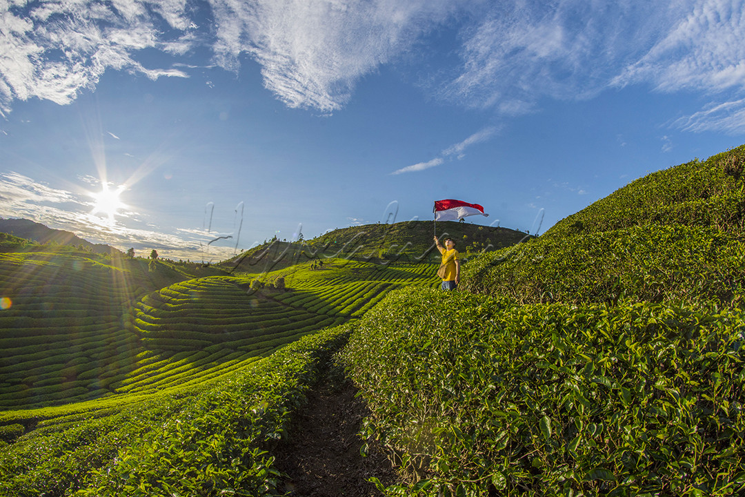 Indonesia sangat terkenal dengan tempat-tempat wisatanya, semua tempat wisata itu menjadi aset yang bisa mendatangkan finansial bagi negara.