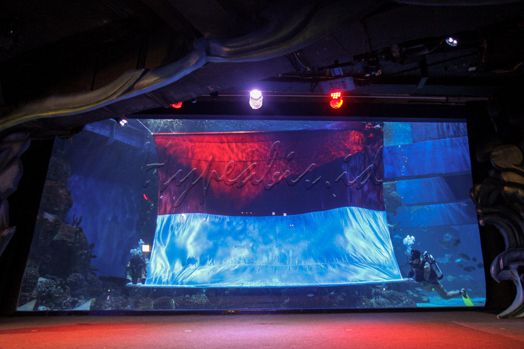 Penyelam melakukan prosesi pengibaran bendera Merah Putih raksasa di Jakarta Aquarium &amp; Safari.