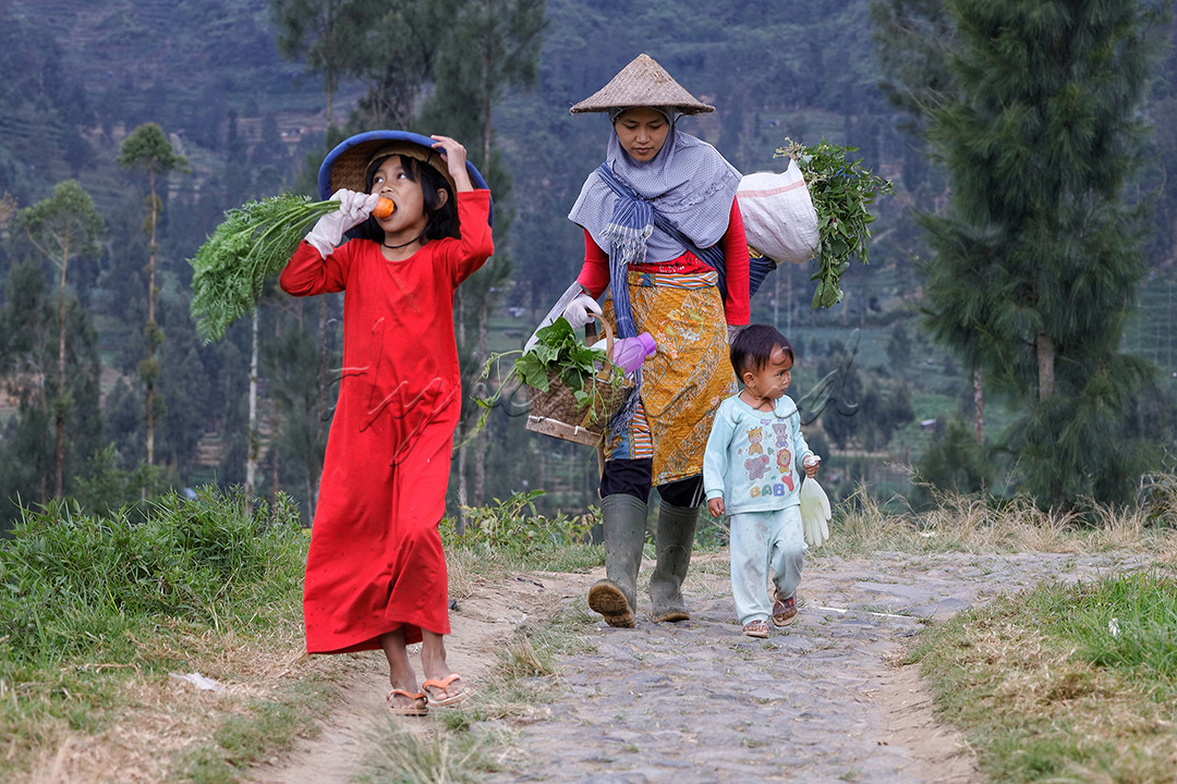 Makna merdeka bagi sebagian orang khususnya keuarga petani adalah mereka hidup nyaman dan berkecukupan dalam memenuhi kebutuhan sehari-hari mereka secara sederhana seperti saat mereka beranjak pulang dari ladang, kebun, maupun sawah yang mereka olah mereka merasa tanpa beban dan pemikiran akan keadaan ekonomi maupun pandemik seperti sekarang ini, karena mereka yakin bahwa alam adalah sumber kehidupan yang tak berkesudahan.&nbsp;