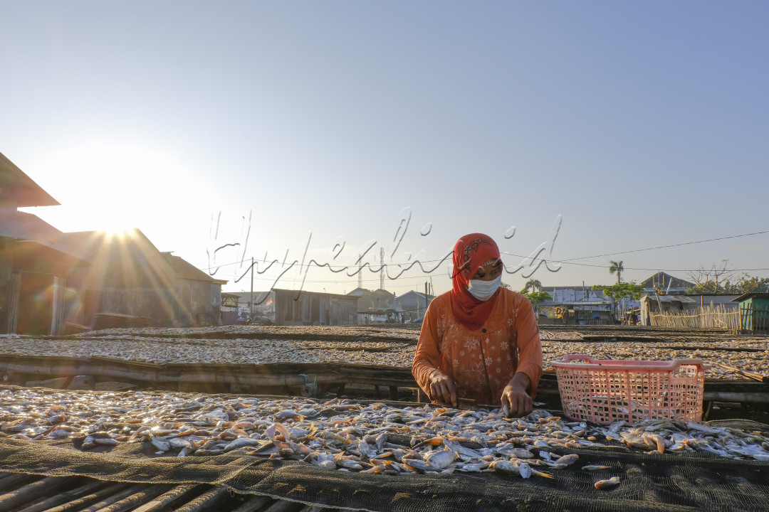 Ibu-ibu di pasuruan menjemur ikan untuk dijadikan ikan asin dan dijual di pasaran.Kini permintan akan ikan asin akibat adanya pandemi mengalami penurunan tetapi mereka tetap bersemanagat dalam bekerja agar bisa merdeka dari tekanan ekonomi
