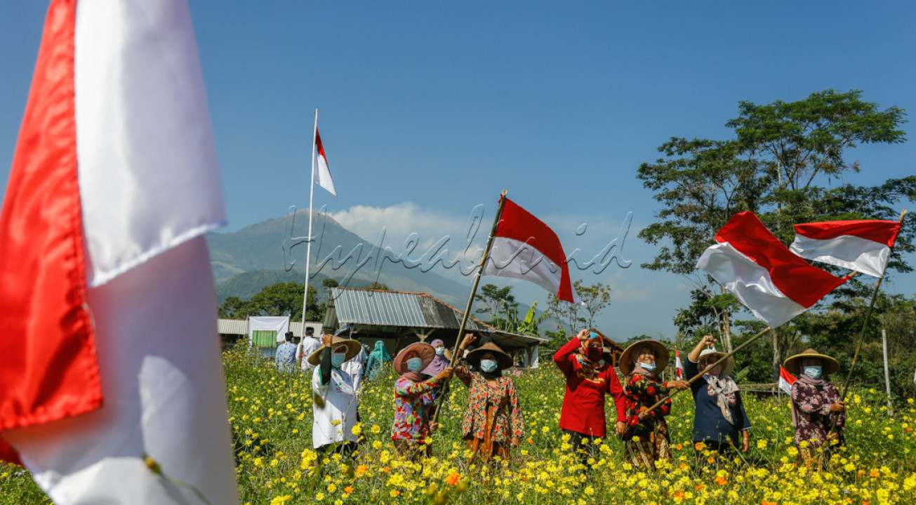 Sejumlah petani organik mengikuti serangkaian lomba 17 usai mengikuti gelaran upacara HUT ke 76 Republik Indonesia diarea kawasan klaster padi organik Dusun Penanggungan Trawas Mojokerto Jawa Timur, kemarin, Selasa (17/8/2021). Sebanyak 30-50 warga petani organik Dusun Penanggungan mengikuti gelaran upacara yang diselenggarakan oleh perangkat desa diarea seluas lima hektar yang terbagi atas masing-masing kelompok petani. Kegiatan ini merupakan pertama kali diselenggarakan selama pandemi Covid-19 berlangsung, dengan menerapkan protokol kesehatan yang ketat serta menjaga jarak.