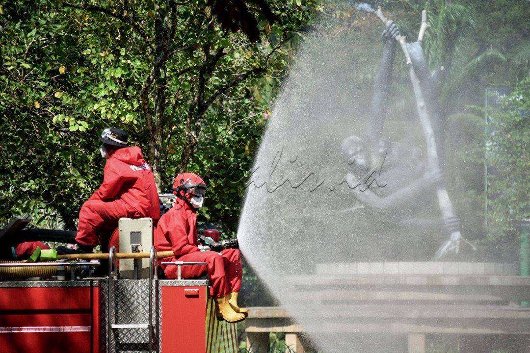 Petugas Pemadam Kebakaran (Damkar) menyemprotkan cairan disinfektan di lingkungan Taman Margasatwa Ragunan (TMR) Jakarta, Rabu, (17/6/2020). Penyemprotan cairan disinfektan tersebut guna mencegah penyebaran virus covid-19 serta dalam rangka persiapan pembukaan kembali Taman Margasatwa Ragunan (TMR) pada Sabtu, 20 Juni&nbsp;2020&nbsp;mendatang.