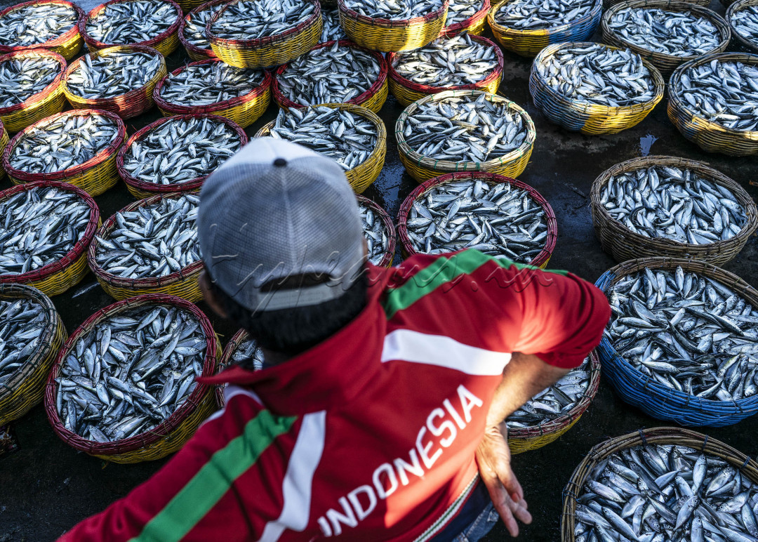Seorang Pedagang ikan tengah menunggu pembeli diantara tumpukkan keranjang ikan yang baru diturunkan dari kapal nelayan di Tempat Pendaratan Ikan (TPI) Lampulo, Banda Aceh, Provinsi Aceh. Setiap harinya, kawasan TPI Lampulo menjadi tempat paling sibuk untuk bertransaksi antara nelayan dengan pedagang, hingga pedangan dengan pembeli walaupun ditengah adanya kekhawatiran wabah COVID-19 di Indonesia.<br />
&nbsp;