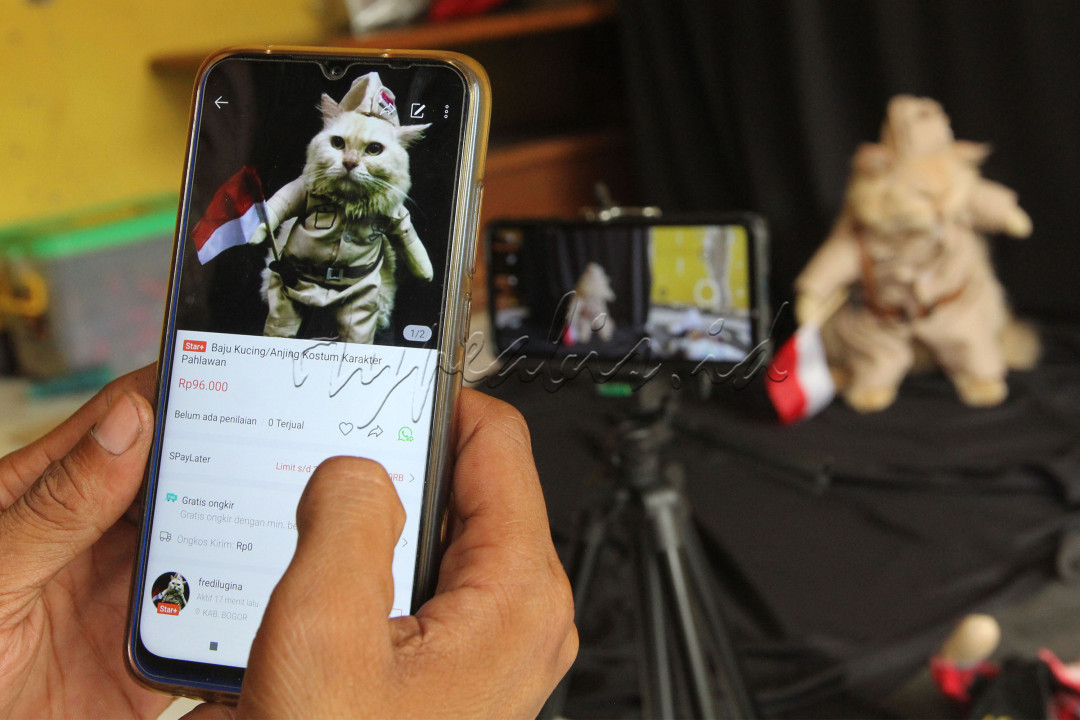 Penjahit sekaligus perancang kostum kucing Fredi Lugina Priadi mengaplikasikan penjualan ke toko online di Kediamannya, Desa Jampang, Kabupaten Bogor, Selasa (3/8/2021). Fredi memanfaatkan digitalisasi usaha mikro, kecil dan menengah (UMKM) menjadi strategi untuk bertahan dan bangkit di masa pandemi covid-19 dengan cara menawarkan kostum kucing hasil karyanya melalui media sosial dan toko online. Semasa pandemi, mantan guru honorer Sekolah Dasar mengaku, setiap bulannya meraup pendapatan sekitar 2,5 hingga 3 juta rupiah dipasarkan dari harga 100 ribu hingga 150 ribu rupiah per potong dan bisnisnya meningkat 20 hingga 30% serta laku hingga ke negara Amerika Serikat, Filipina dan Thailand.<br />
&nbsp;