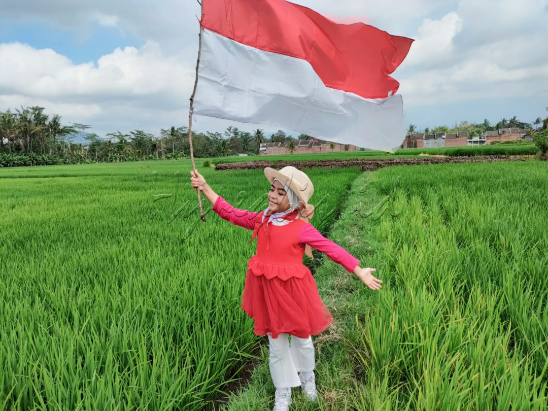 Hijaunya Sawah, Menandakan keindahan kekayaan Alam Indonesiaku tercinta.