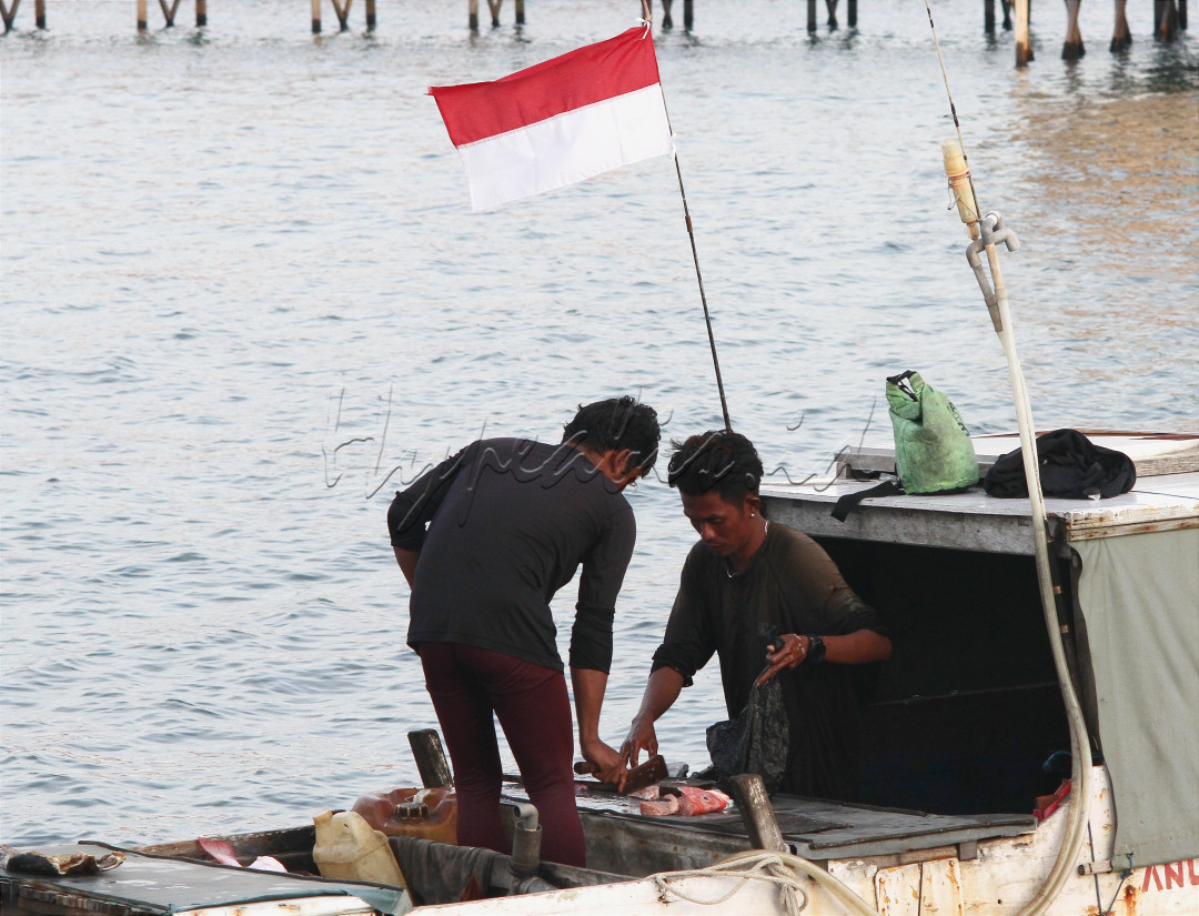Dua orang nelayan yang sedang berbagi sebagian ikan hasil dari tangkapan mereka. Sebagian untuk di jual ke pasar dan sebagian untuk di santap bersama keluarga di rumah.&nbsp;<br />
Terus semangat untuk tetap merdeka dari tekanan ekonomi!&nbsp;