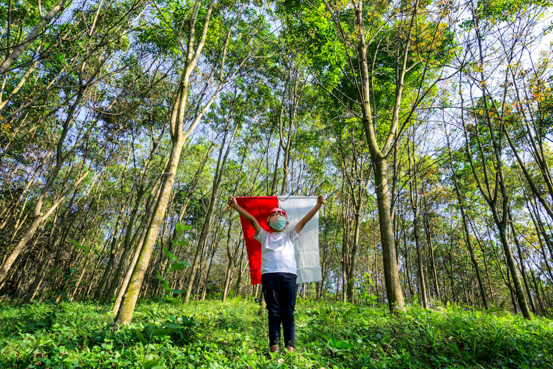 <div>&nbsp;</div>

<div>Arti Merdeka menurut Ku&nbsp;bukan hanya soal perjuangan mempertahankan NKRI, tetapi bagaimana mempertahankan keyakinan untuk tidak menjarah kekayaan sendiri.</div>

<div>&nbsp;</div>

<div>Hutan memang tidak punya suara, tetapi hutan adalah salah satu kekayaan NKRI yang layak dipertahankan.</div>

<div>&nbsp;</div>

<div>Faktanya, hutan Indonesia merupakan hutan tropis terluas ke-3 di dunia dan rumah bagi jutaan spesies langka yang hanya bisa ditemukan di tanah air tercinta.</div>

<div>&nbsp;</div>

<div>Tapi sudahkah hutan kita merdeka? Kenyataanya, Indonesia kehilangan hutan seluas 3x lapangan sepak bola setiap menitnya. Terdapat lebih dari 3000 berita mengenai pembalakan liar, kebakaran hutan, alih fungsi hutan hingga berita mengerikan lainnya mengenai hutan selama tahun 2018 - 2021.</div>

<div>&nbsp;</div>

<div>Mari kobarkan semangat dirgahayu dengan mendukung hutan Indonesia untuk merdeka ???????? ????????</div>