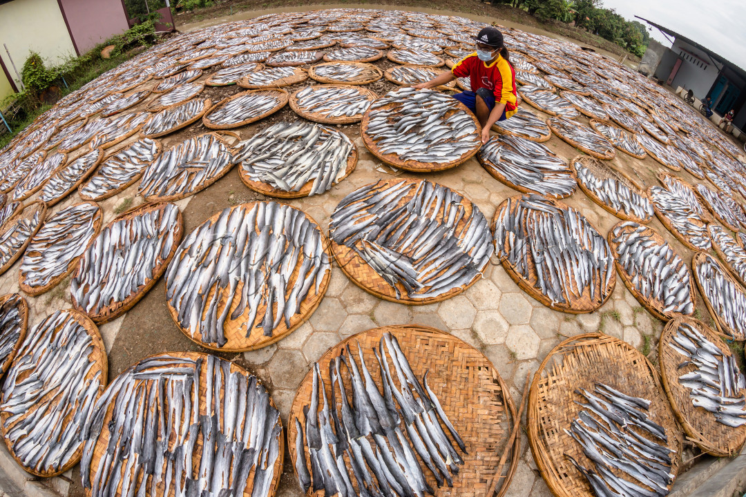 Pengrajin kerupuk kulit ikan di daerah Indramayu tetap bekerja menjemur kulit ikan dengan prokes<br />
untuk merdeka dari Covid-19