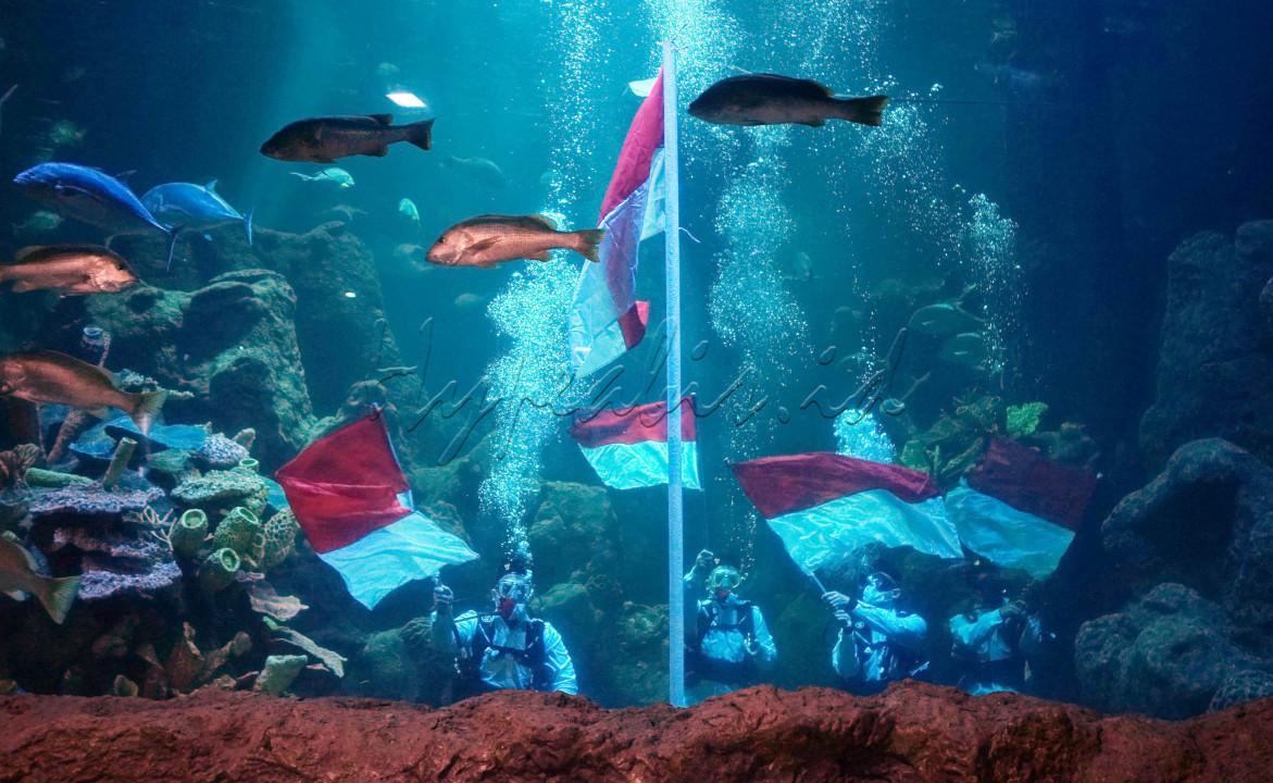 Sejumlah penyelam melakukan upacara pengibaran Bendera Merah Putih di aquarium utama Sea World Ancol, Jakarta, Senin 17 Agustus 2020.&nbsp;