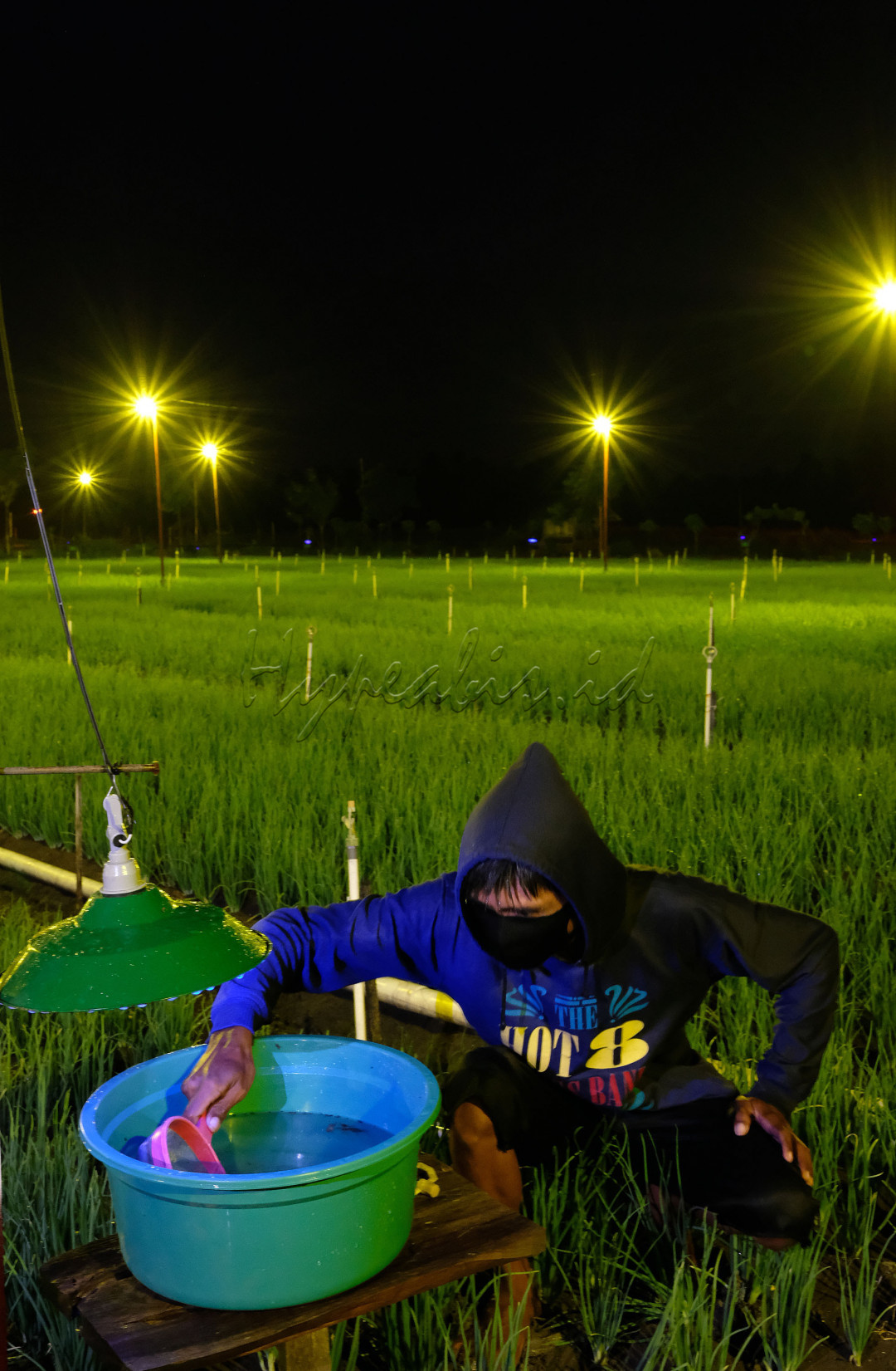 Listrik kini tidak hanya bermanfaat sebagai alat penerangan, tetapi juga dapat meningkatkan produktifitas di bidang pertanian. Hal tersebut dibuktikan oleh Petani Bawang yang berada di Desa Telle, Kecamatan Ajangale, Kabupaten Bone, Provinsi Sulawesi Selatan.