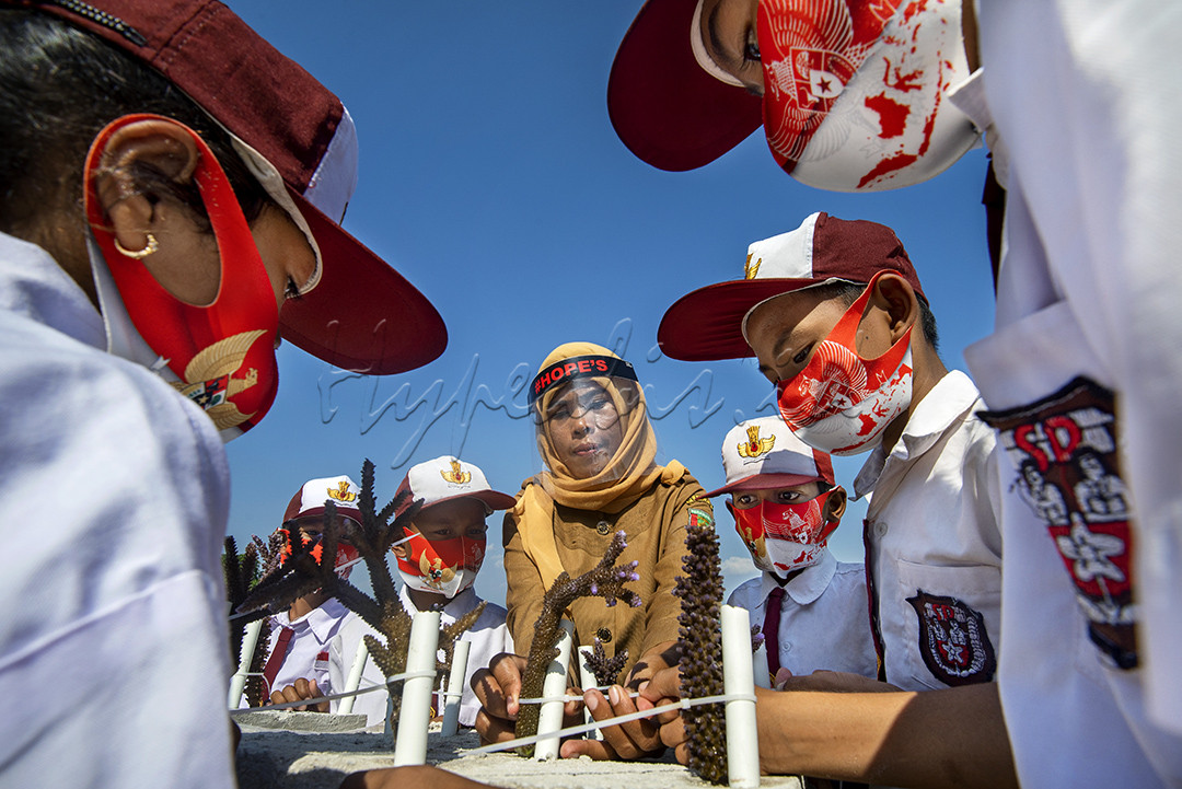 Beberapa siswa sekolah Dasar di Pahawang, Lampung, sedang belajar cara mencangkok terumbu karang atau Transplantasi terumbu karang. Transplantasi terumbu karang merupakan salah satu upaya rehabilitasi terumbu karang yang semakin terdegradasi melalui pencangkokan atau pemotongan karang hidup yang selanjutnya ditanam di tempat lain yang mengalami kerusakan atau menciptakan habitat baru untuk rumah ikan.
