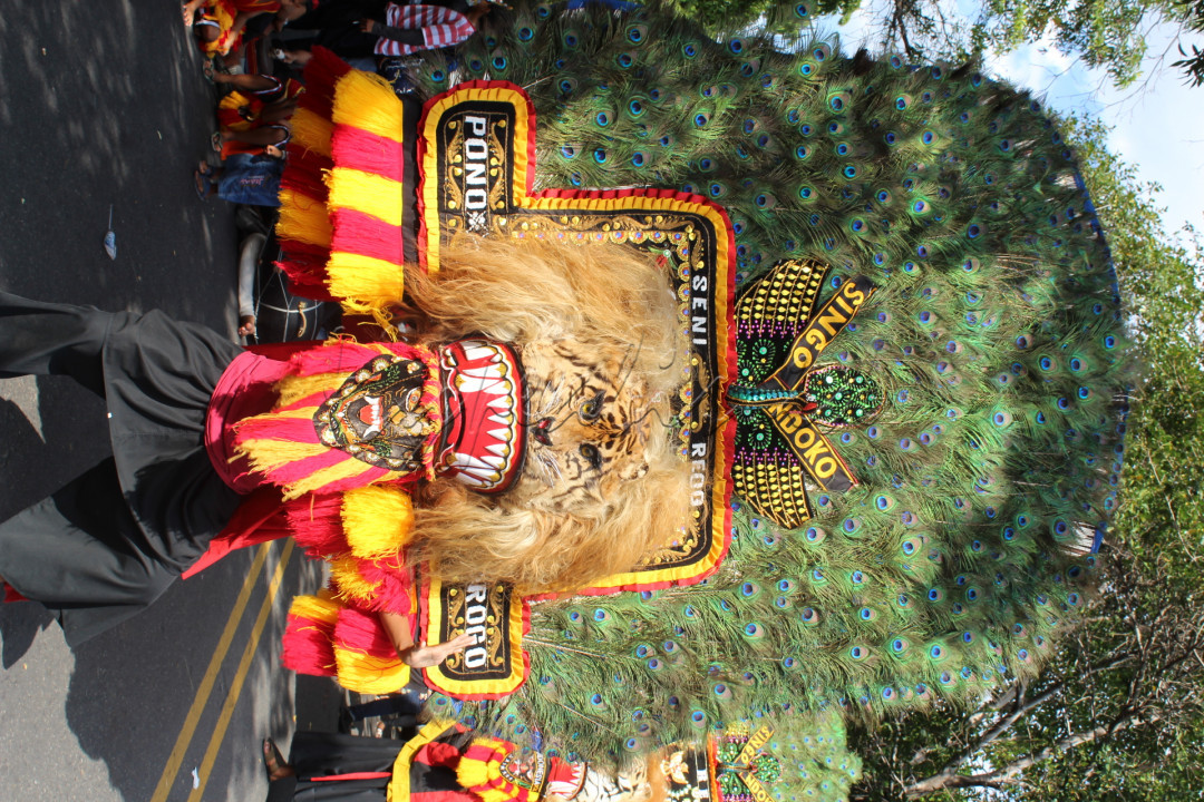 <strong>Reog</strong>(???????, <em>R&eacute;yog</em>) adalah tarian tradisional dalam arena terbuka yang berfungsi sebagai hiburan rakyat, mengandung unsur magis, penari utama adalah orang berkepala singa dengan hiasan bulu merak, ditambah beberapa penari bertopeng dan berkuda lumping.