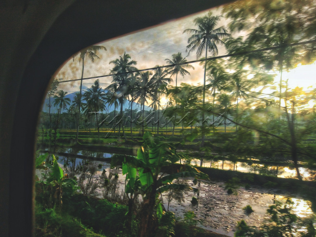Melihat persawahan yang ada di banyuwangi, dari atas kereta api saya melihat keindahan alam kecamatan Glenmore banyuwangi.<br />
Menarik jika dilihat dari nama kecamatan tersebut, tidak seperti nama-nama kecamatan yang ada di indonesia pada umumnya, beberapa daerah di luar negeri yang menggunakan nama Glenmore juga memiliki kemiripan kontur berhawa dingin dan daerah perkebunan.<br />
<br />
Bangga Indonesia<br />
#Lombafotobisnisindonesia #Hypeabisid&nbsp;#Bisnisindonesiafoto