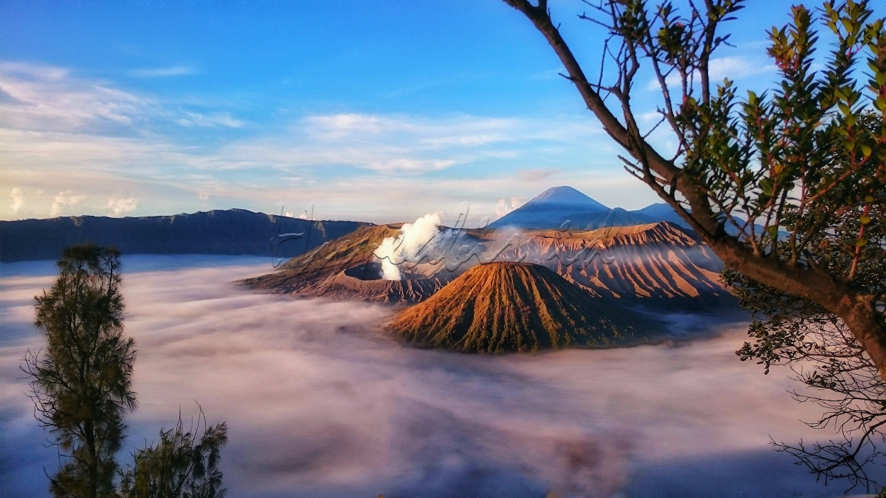 Gunung bromo merupakan salah satu wisata gunung yang terletak di provinsi jawa timur kab probolinggo, bromo memiliki beberapa spot sunrise yang dapat dikunjungi salah satunya adalah spot bukit kingkong, salah satu spot baru untuk menikmati keindahan sunrise gunung bromo, ada dua pilihan untuk menuju bukit kingkong, menggunakan jeep hingga atas bukit kingkong atau dengan cara hiking, dan saya mencoba memilih hiking menuju bukit kingkong, butuh waktu kurang lebih 1 jam hingga sampai diatas bukit kingkong, dari atas bukit tersebut bromo sangat indah dengan segala keajaibanya.<br />
<br />
Bangga Indonesia<br />
#Lombafotobisnisindonesia #Hypeabisid&nbsp;#Bisnisindonesiafoto