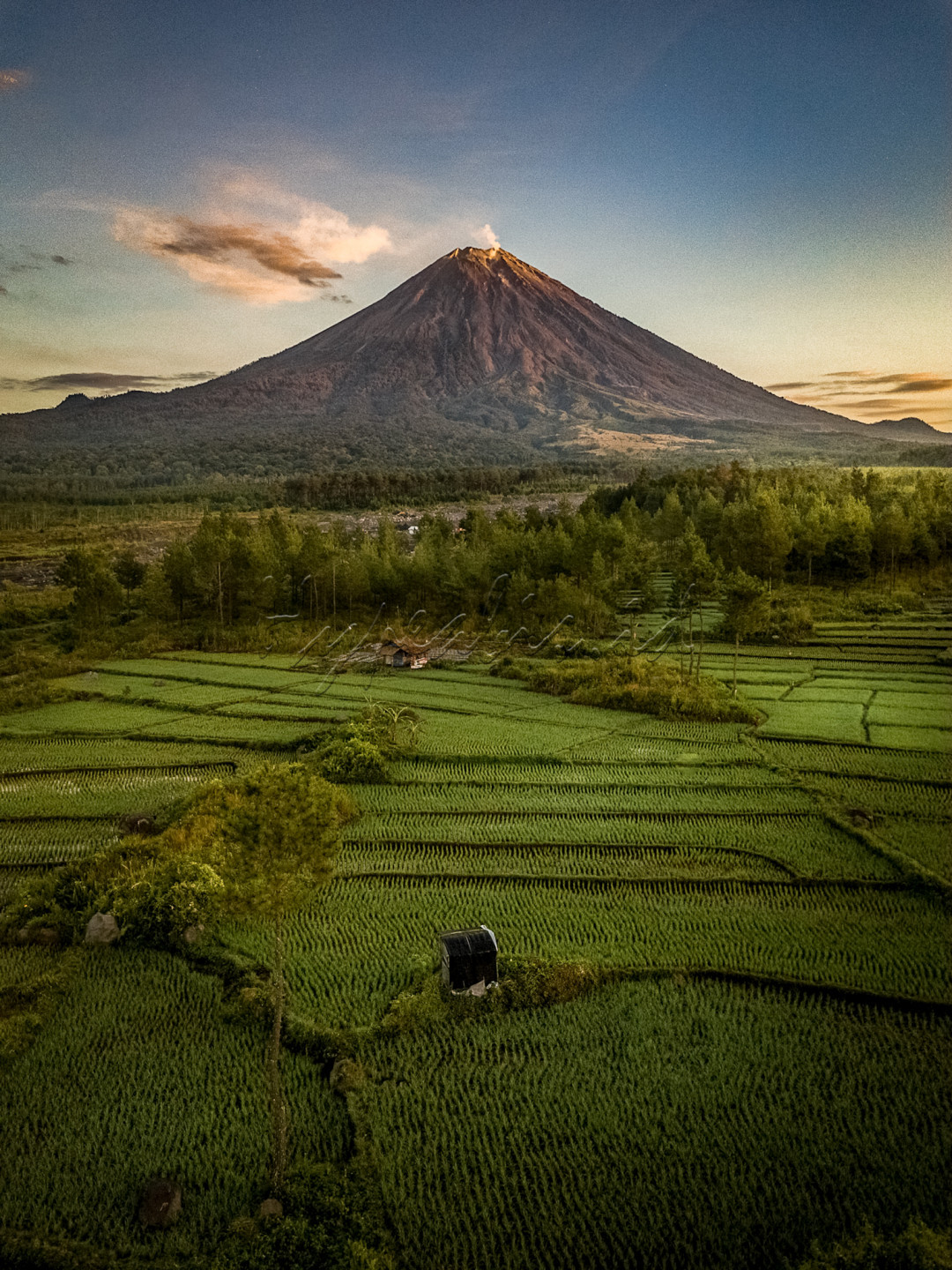 Jajaran petak sawah berpadu dengan kemegahan Gunung Semeru menjadikan suatu oemandangan alam yang sangat indah, ini adalah salah satu potensi yang dimiliki Desa Supiturang,selain wisata,potensi oertaniannya juga sangat menjanjikan<br />
Seperti diketahui bersama bahwa suatu daerah yg dekat dengan Gunung berapi tingkat kesuburan tanahnya cukup tinggi,dan hal ini sangat baik untuk pertanian