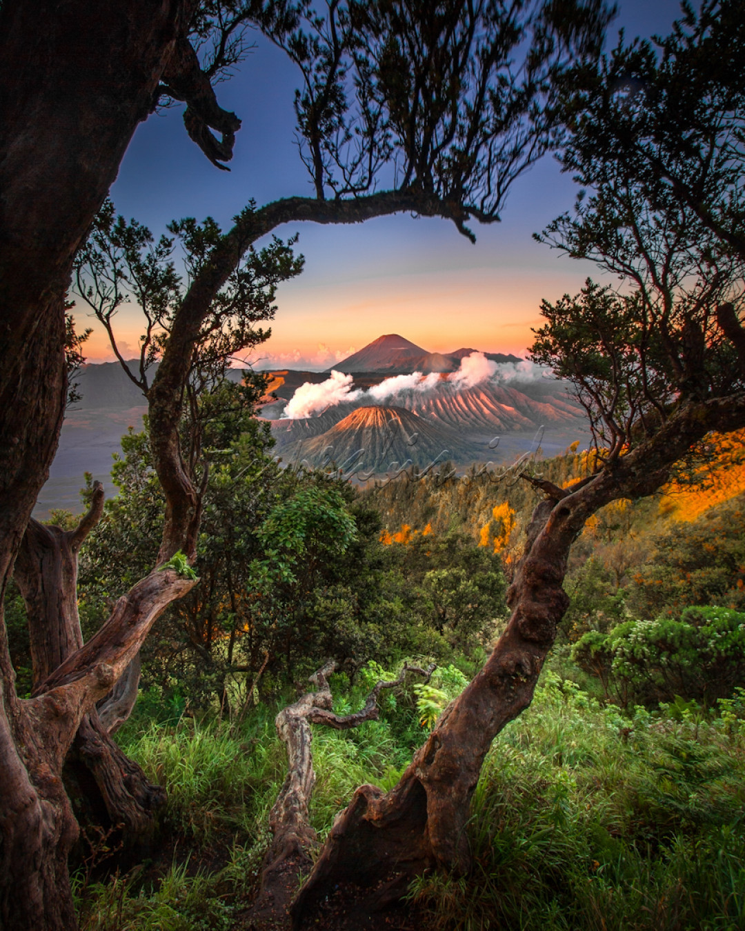 Sunrise Bromo, Penanjakan view point lebih identik dengan sebutan Penanjakan 1, merupakan spot Sunrise Bromo terkenal dan populer kalangan wisatawan dan pemburu Sunrise Gunung Bromo, karena ketinggiannya di atas Gunung Bromo yang hanya memiliki ketinggian 2.329 mdpl.<br />
<br />
Selain itu wisatawan dapat menikmati pemandangan kaldera dan lautan pasir yang sangat menawan yang sering disebut dengan Sea of Sand yang berada di antara 3 gunung. Sunrise Bromo akan lebih eksotis dan menarik saat langit sedang cerah dan terdapat awan kapas di sekitar gunung Bromo.<br />
<br />
Lokasi : Penanjakan 1, Bromo, Probolinggo, Jawa Timur&nbsp;