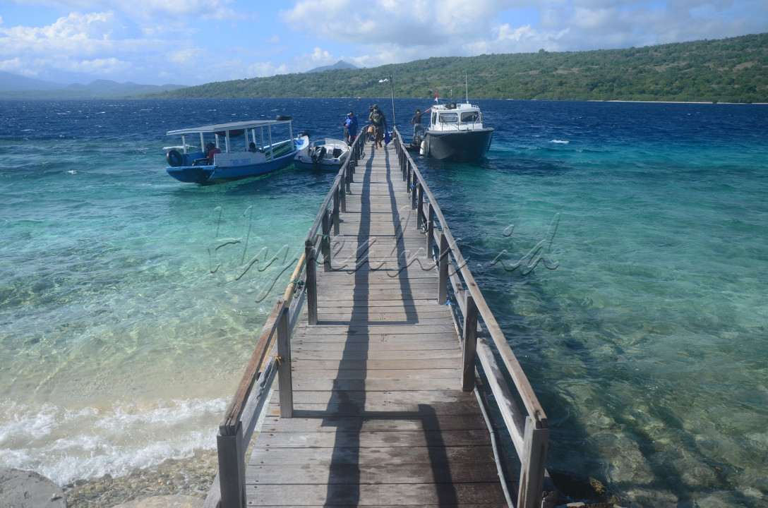 Keindahan pulau menjangan di Bali barat ini tidak diragukan lagi.Airnya yang jernih menjadikan tempat ini surga bagi para pencinta snorkling maupun diving.Tidak hanya keindahan bawah lautnya,jika kita masuk ke dalam kawasan hutannya disana juga dapat kita jumpai berbagai spesies burung dan sekelompok rusa yang sedang mencari makan di padang rumput.