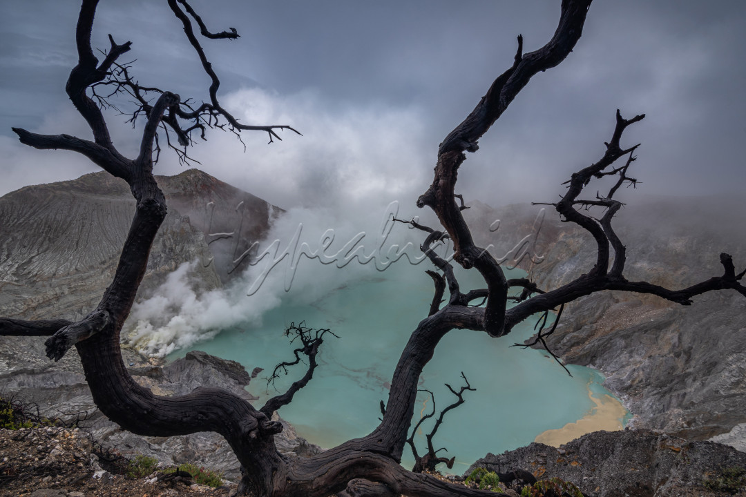 Dengan ditetapkannya Gunung Ijen sebagai cagar biosfir oleh Unesco pada Maret 2016, bisa dipastikan pesona Kawah Ijen akan kian mendunia dan mendatangkan lebih banyak wisatawan mancanegara. Kawasan Wisata Kawah Ijen masuk dalam wilayah Cagar Alam Taman Wisata Ijen dengan luas 2.560 hektare, termasuk hutan wisata seluas 92 hektare. Kawah Ijen ini terletak di puncak Gunung Ijen di wilayah Kecamatan Licin, Kabupaten Banyuwangi dan Kecamatan Klobang, Kabupaten Bondowoso. Kawah Ijen merupakan sebuah danau di atas Gunung Ijen yang terbentuk akibat proses letusan Gunung Ijen, membuat kawah tersebut dipenuhi oleh air sehingga membentuk sebuah danau kawah yang sangat menakjubkan.Yang menarik adalah kawah ini berada di tengah kaldera yang terluas di Pulau Jawa dengan diameter 6 km. Ukuran kawahnya sendiri sekitar 960 meter x 600 meter dengan kedalaman 200 meter. Kawah ini terletak di kedalaman lebih dari 300 meter di bawah dinding kaldera.<br />
&nbsp;