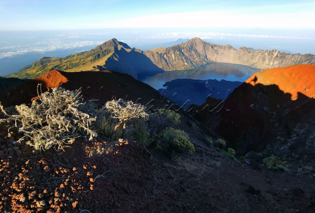 Potret suasana pagi yang cerah pemandangan gunung rinjani yang indah dari jalur puncak rinjani. Gunung rinjani merupakan salah satu gunung tertinggi ke-3 di Indonesia dengan ketinggian 3726 MDPL yang terletak di Lombok, Nusa Tenggara Barat. Merupakan destinasi wisata pendakian gunung yang banyak dikunjungi oleh wisatawan petualang karena jalur pendakian yang menantang dan keindahan alam gunung rinjani yang mempesona.