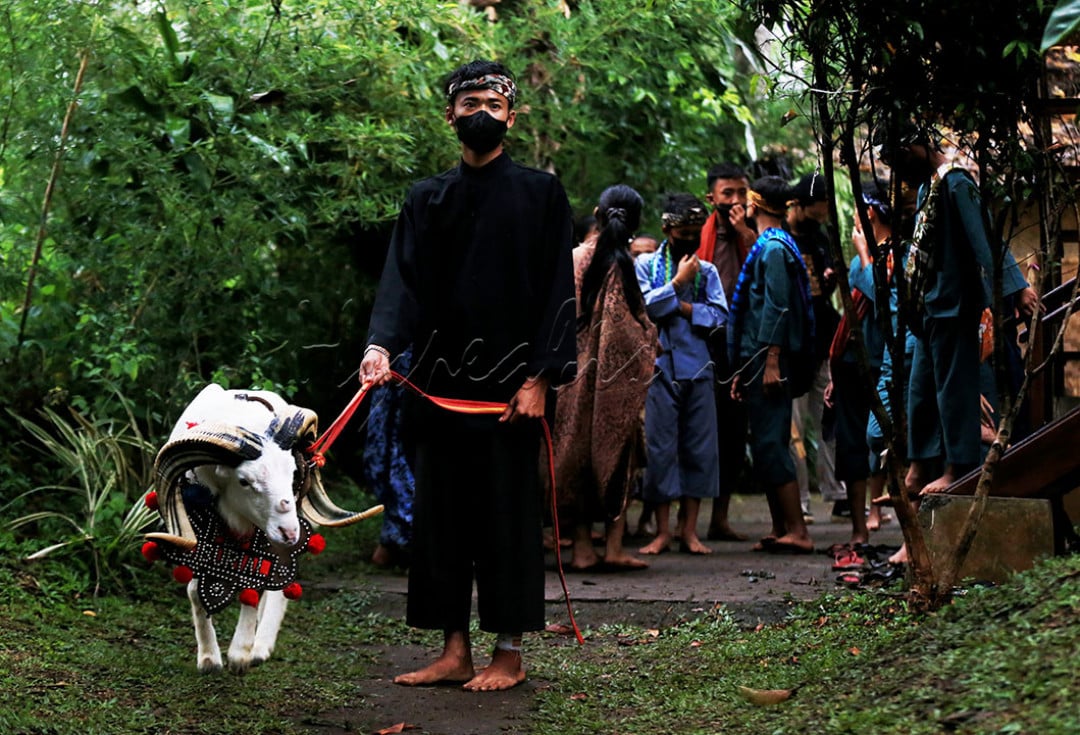 Peserta Adu Domba besiap di pinggir arena di Desa Wisata Saung Ciburial, Kabupaten Garut, Jawa Barat, Senin (18/10/2021).&nbsp;Adu Domba merupakan merupakan atraksi tradisional khas masyarakat Sunda. Domba Garut memiliki ketangkasan dan merupakan salah satu domba lokal terbaik di Indonesia. Atraksi Adu Domba menjadi salah satu daya tarik wisata Desa Saung Ciburial.&nbsp;