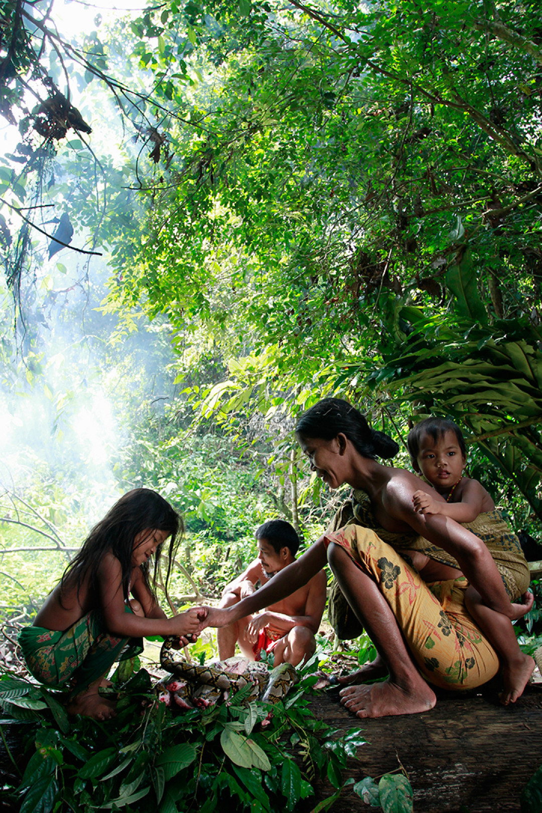 Kegiatan berburu bagi Suku Anak Dalam yang berdiam di hutan Taman Nasional Bukit 12 Sarolangun, Jambi adalah sebuah Budaya untuk memenuhi kebutuhan sehari hari. Bagi Suku Anak Dalam hewan yang diternakan seperti ayam dll, dilarang untuk dikomsusi.