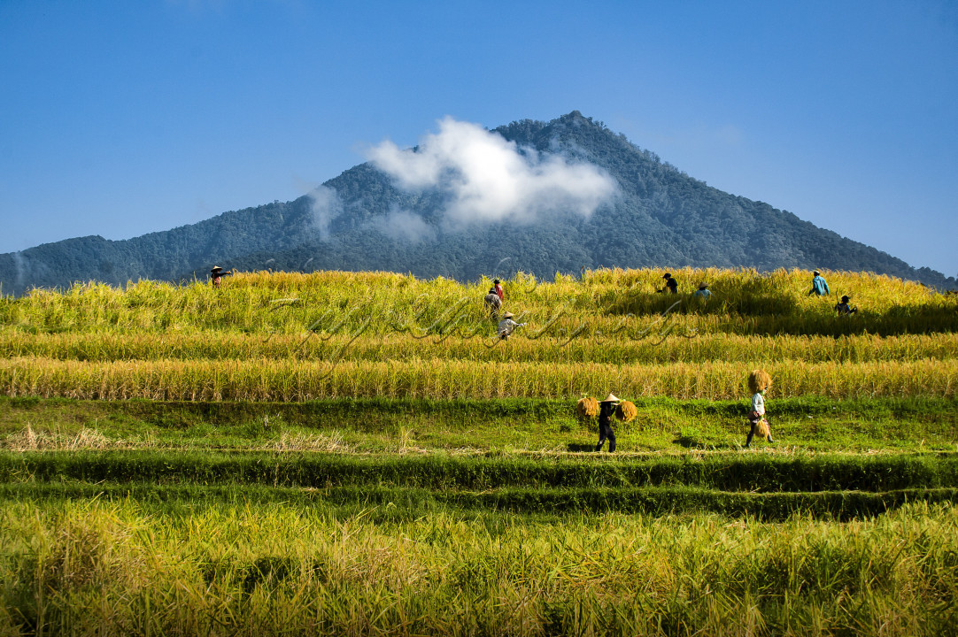 Indonesia dengan alamnya yang subur dan indah permai menjadi kebanggaan tersendiri bagi setiap warga Indonesia.