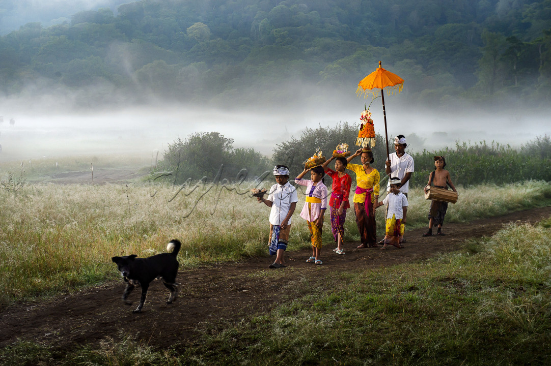 Tradisi Melasti umat Hindu Bali yang memiliki makna pembersihan sarana upacara merupakan salah satu tradis yang sangat menarik karena tradisi ini dilaksanakan disemua mata air termasuk Danau.