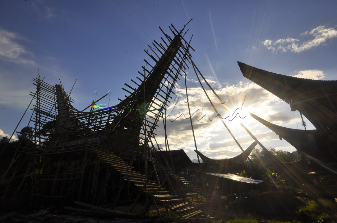 Seorang pekerja melanjutkan pekerjaan rumah adat Tongkonan Toraja di Toraja Utara.