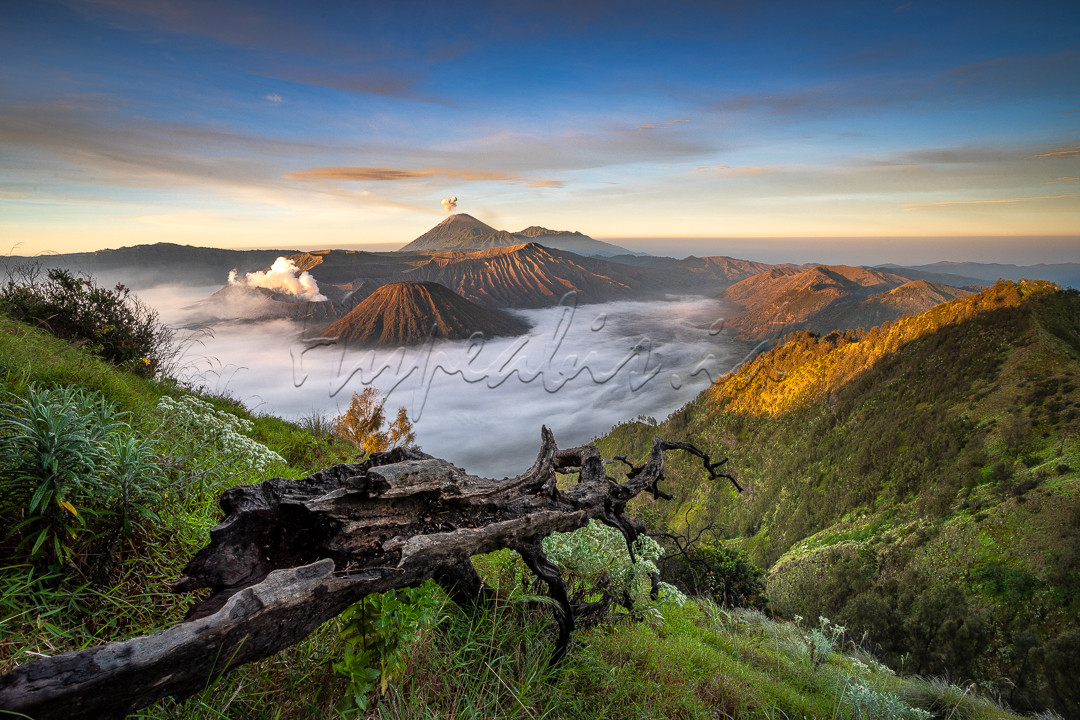 Gunung Bromo adalah destinasi populer baik di kalangan wisatawan domestik hingga internasional. Momen yang paling dicari dari Gunung Bromo adalah ketika matahari terbit menyinari Gunung Bromo dipadukan dengan kabut yang menyelimuti kaldera lautan pasir di bawahnya.