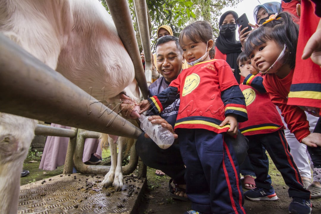 Pariwisata tidak hanya tentang pemandangan, ada juga wisata yang berfokus pada edukasi yang biasa disebut dengan wisata edukasi. Salah satunya terdapat di Kec. Senduro, Kab. Lumajang, Jawa Timur berupa Wisata Edukasi Kambing Perah Senduro. Wisata ini dapat dinikmati dari anak usia dini hingga orang dewasa yang ingin belajar mengenai susu kambing dan bisa langsung praktek untuk memerah susunya.